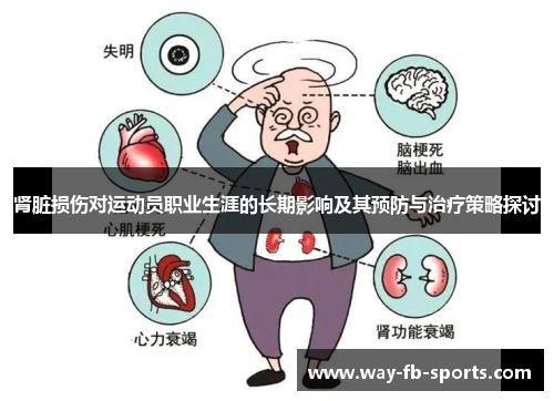 肾脏损伤对运动员职业生涯的长期影响及其预防与治疗策略探讨