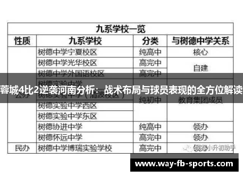 蓉城4比2逆袭河南分析：战术布局与球员表现的全方位解读