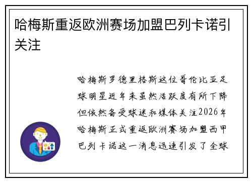 哈梅斯重返欧洲赛场加盟巴列卡诺引关注 哈梅斯重返欧洲赛场加盟巴列卡诺引关注