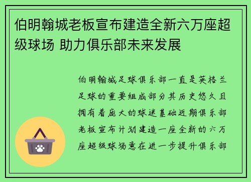 伯明翰城老板宣布建造全新六万座超级球场 助力俱乐部未来发展